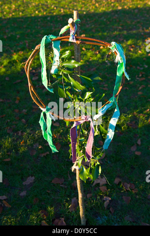 Les druides de la Fondation tiennent leur assemblée annuelle de Gui multi-religieux de la cérémonie de la paix et de l'action de grâce à célébrer le pouvoir du gui dans la ville rurale de Tenbury Wells willow et Hazel avec ivy et rubans Banque D'Images