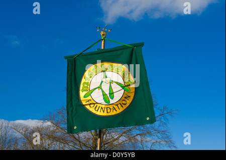 Les druides de la fondation du gui en procession à leur cérémonie annuelle pour célébrer le pouvoir du gui dans la ville rurale de Tenbury Wells, Worcestershire, Angleterre, RU Banque D'Images