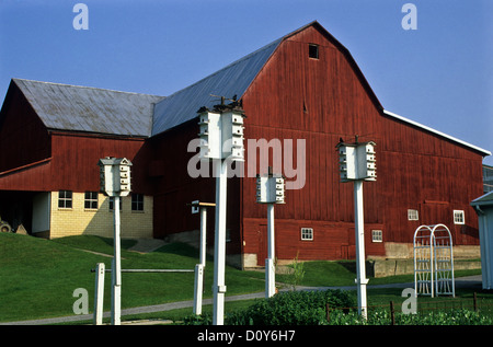 Vintage red barn sur une ferme Amish et blanc Hirondelles, Holmes County, Ohio, USA, United States, Martin chambre nichoir oiseaux, grange Amish Banque D'Images