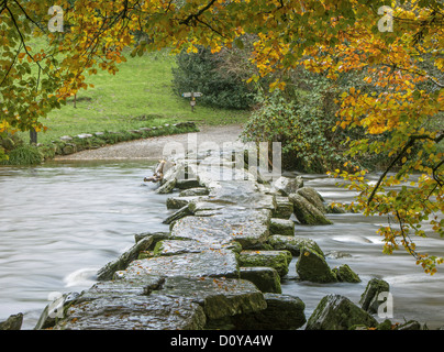 River Barle en automne à Tarr Étapes, Parc National d'Exmoor, Somerset, England, UK Banque D'Images