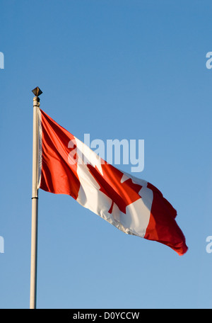 Drapeau canadien contre le ciel bleu Banque D'Images