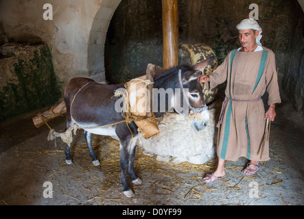 Millstone & âne utilisé pour presser les olives pour faire l'huile d'olive dans Nazareth Village Banque D'Images