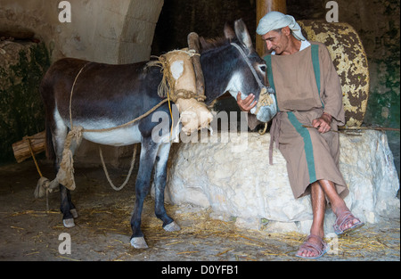 Millstone & âne utilisé pour presser les olives pour faire l'huile d'olive dans Nazareth Village Banque D'Images