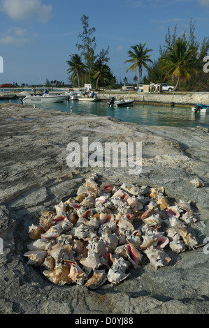 Jetée conques à île Crooked Bahamas Banque D'Images