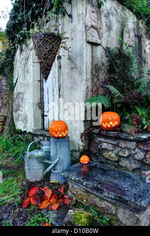 Abri de jardin avec des citrouilles d'halloween Banque D'Images