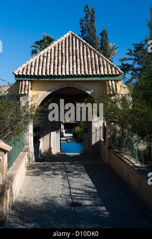 Hala Sultan Tekke, Chypre Banque D'Images