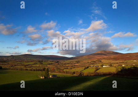 Mount Leinster, 796 mètres c'est la plus haute des montagnes de Blackstairs, sur la frontière du comté de Wexford (Irlande), et Carlow Banque D'Images