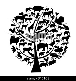 Vector set d'animaux silhouette sur arbre. Banque D'Images