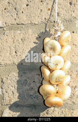 Bouquet d'oignons accroché au mur de tuf Banque D'Images