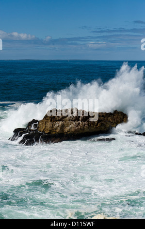 L'écrasement de l'onde sur les roches, Hermanus, Afrique du Sud Banque D'Images