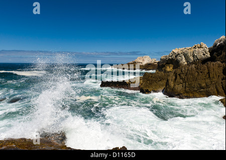 L'écrasement de l'onde sur les roches, Hermanus, Afrique du Sud Banque D'Images