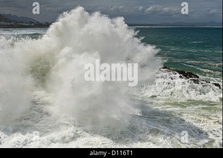 L'écrasement de l'onde sur les roches, Hermanus, Afrique du Sud Banque D'Images