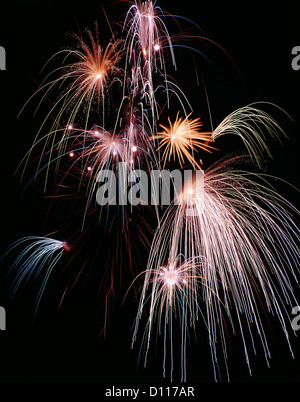 Affichage d'ARTIFICE DANS LE CIEL DE NUIT Banque D'Images