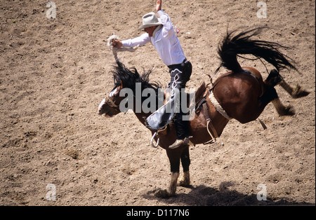 Années 1990 COWBOY ÉQUITATION SELLE BRONCO WY Cheyenne Frontier Days USA Banque D'Images