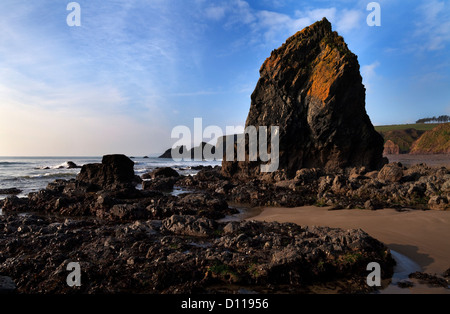 Ballydowane Beach, près de Bunmahon, le Copper Coast Geopark, comté de Waterford, Irlande Banque D'Images