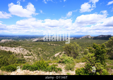 Habitats - collines calcaires avec garrigue et forêt. Vue en direction nord vers le Mont Ventoux. Chaîne des Alpilles, Provence, France. Banque D'Images