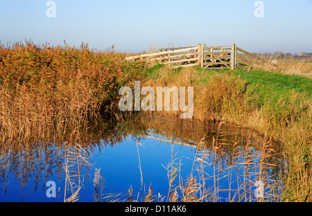 Une porte d'accès ou d'une clôture par une digue sur le Wherryman's Way path au Limpenhoe, près de Reedham, Norfolk, Angleterre, Royaume-Uni. Banque D'Images