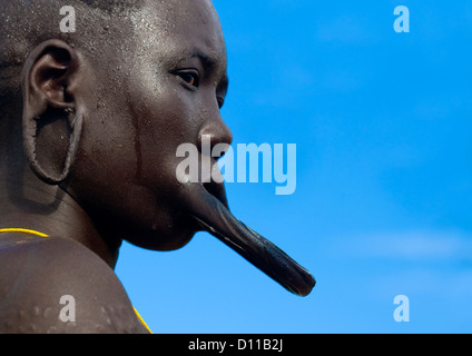 Portrait d'une femme de la tribu Mursi avec la lèvre plate, scarifications et oreilles élargie dans le Parc National de Mago, vallée de l'Omo, Ethiopie Banque D'Images