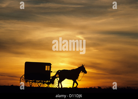 1980 Cheval et buggy AMISH QUI SE PROFILE DANS LE COUCHER DU SOLEIL LE COMTÉ DE LANCASTER PA USA Banque D'Images