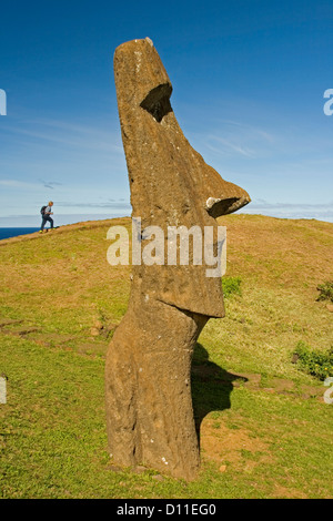 L'île de Pâques - statue moai - on grassy hillside at Ranu Raraku avec randonneur solitaire au loin éclipsé par la figure sculptée Banque D'Images