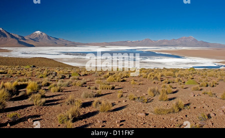 Paysage avec Salar de Suriri - salt lake et enneigés des montagnes des Andes dans le Parc National Lauca au Chili, en Amérique du Sud Banque D'Images