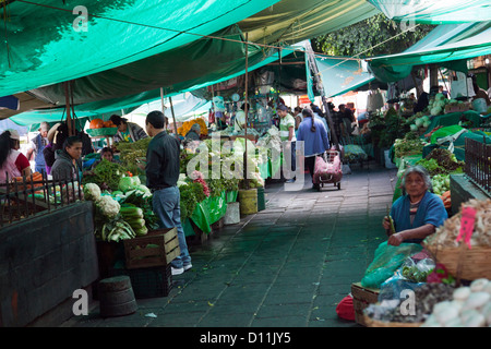 Mercado de las Flores - Mexico DF Banque D'Images