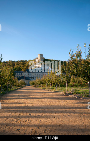 Vue sur le Château de La Roche-Guyon avec le donjon sur la colline au-dessus de dans le département de Val d'Oise en France Banque D'Images