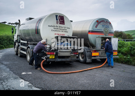 Deux pilotes de pétroliers en vrac le transfert du lait d'un seul camion à l'autre avant de le livrer à une usine de transformation de fromage, le Pays de Galles UK Banque D'Images