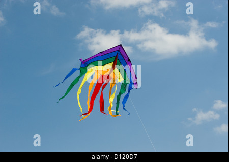 Berlin, Allemagne, Festival du cerf-volant dans les jardins du monde dans  le parc de loisirs de Marzahn Photo Stock - Alamy