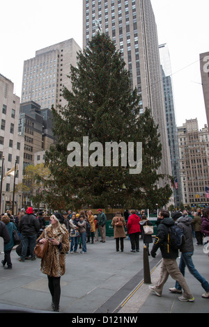 Arbre de Noël du Rockefeller Center New York USA Banque D'Images