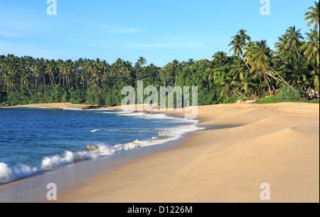 Un homme seul la pêche au petit matin sur une belle plage de sable blanc de Tangalle, sur la côte sud du Sri Lanka Banque D'Images