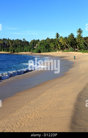 Un homme seul la pêche au petit matin sur une belle plage de sable blanc de Tangalle, sur la côte sud du Sri Lanka Banque D'Images