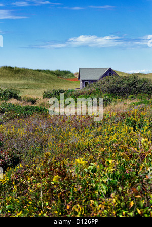 Dune cabane, Aquinnah, Martha's Vineyard, Massachusetts, USA Banque D'Images