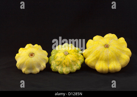 Ensemble de trois jaune vert pattypan squash sur fond noir Banque D'Images