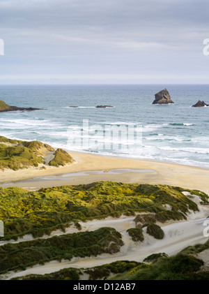 D'un grand angle de vue plage phlébotome et Bay, sur la péninsule d'Otago, près de Dunedin, Otago, Nouvelle-Zélande Banque D'Images