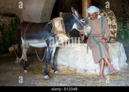 Millstone & âne utilisé pour presser les olives pour faire l'huile d'olive dans Nazareth Village Banque D'Images