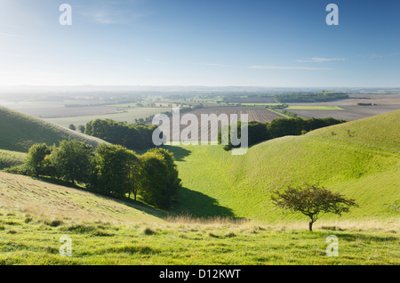 Vale de Pewsey de Knap Hill. Le Wiltshire. L'Angleterre. UK. Banque D'Images