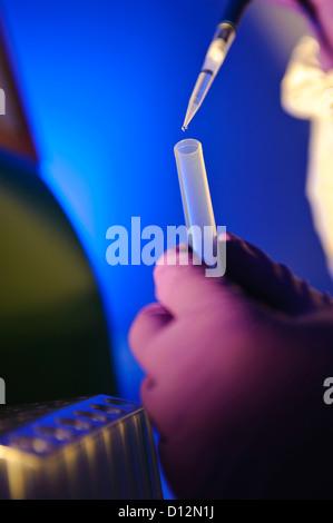 Gros plan d'un liquide clair de l'échantillon à la pipette de la pipette dans une micro tube à essai dans un laboratoire scientifique. Banque D'Images