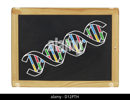 Structure de l'ADN sur un tableau noir Banque D'Images