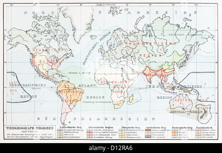 Vintage carte représentant la géographie animale à la fin du 19ème siècle Banque D'Images
