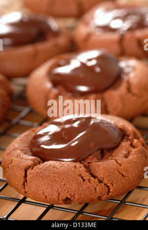 Biscuits fraîchement recouvert de ganache au chocolat Banque D'Images