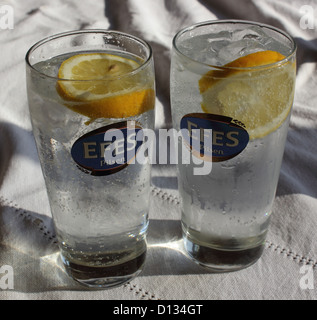 Gin Tonic & Banque D'Images