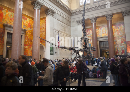 Hall d'entrée à l'American Museum of Natural History sur Central Park West à New York City. Banque D'Images