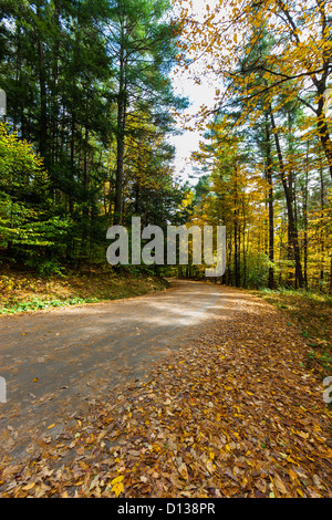 Les routes secondaires dans le Vermont au cours de la saison. Feuillage Banque D'Images