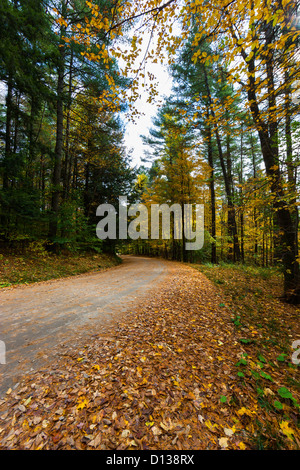 Les routes secondaires dans le Vermont au cours de la saison. Feuillage Banque D'Images