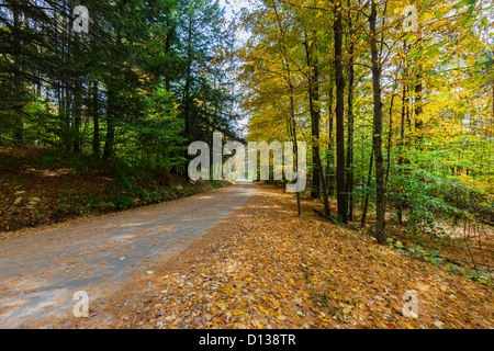 Les routes secondaires dans le Vermont au cours de la saison. Feuillage Banque D'Images