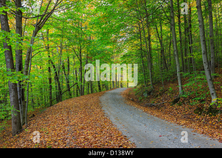 Les routes secondaires dans le Vermont au cours de la saison. Feuillage Banque D'Images