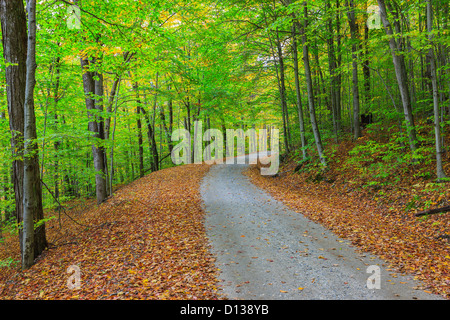 Les routes secondaires dans le Vermont au cours de la saison. Feuillage Banque D'Images