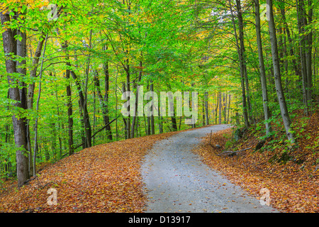 Les routes secondaires dans le Vermont au cours de la saison. Feuillage Banque D'Images