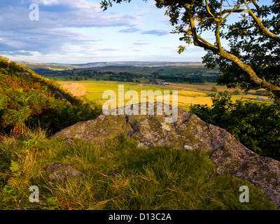 Vue sur Barden Moor dans le Yorkshire Dales National Park une superficie des terres entre Skipton et Barden en basse Wharfedale UK Banque D'Images